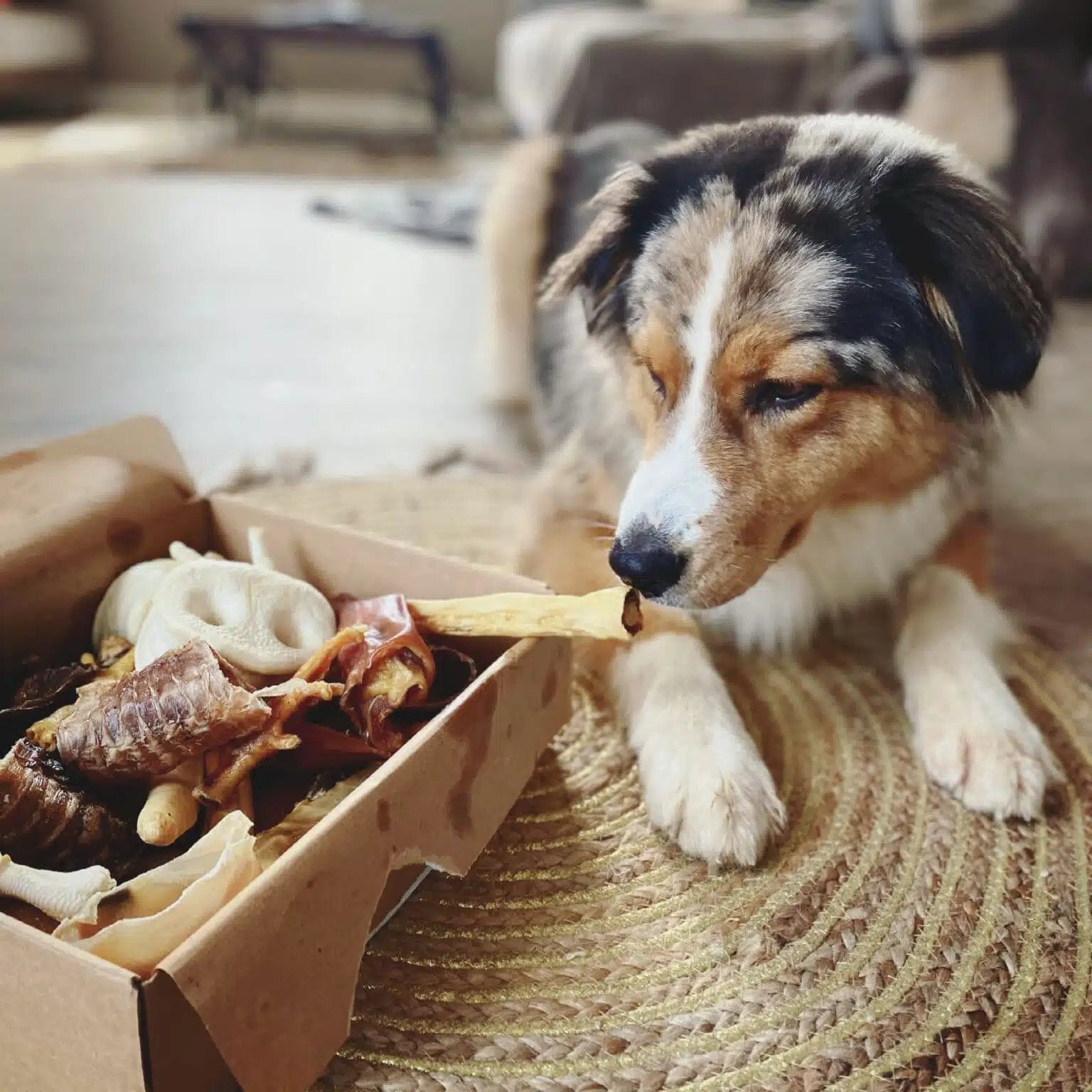 Natural Treats